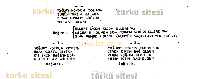Yourt Koydum Dolaba-2